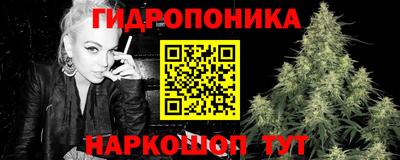 стафф Гусев