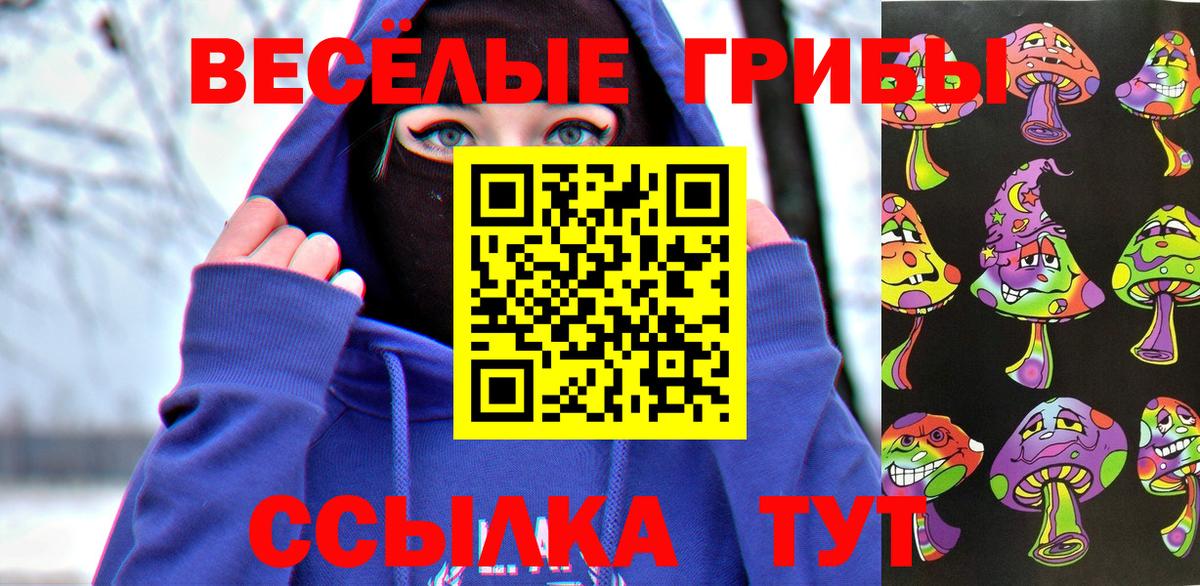 наркотики  Псилоцибиновые грибы мицелий  Вход с VPN  Москва  Псилоцибиновые грибы Psilocybine cubensis 